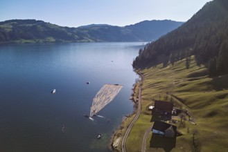 Forestry workers float a raft of felled tree trunks from the Bergmatt across the Ägerisee to the