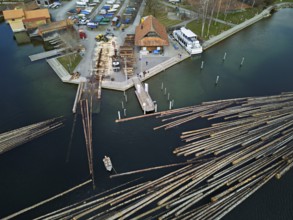 Raft of felled tree trunks at the landing stage where the trunks are pulled ashore and cut to size
