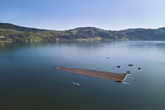 Forestry workers float a raft of felled tree trunks from the Bergmatt across the Ägerisee to the
