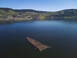 Forestry workers float a raft of felled tree trunks from the Bergmatt across the Ägerisee to the