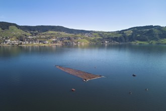 Forestry workers float a raft of felled tree trunks from the Bergmatt across the Ägerisee to the