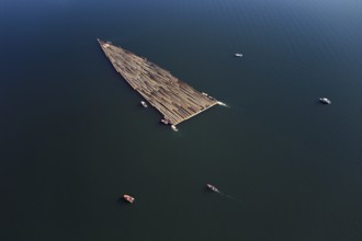 Forestry workers float a raft of felled tree trunks from the Bergmatt across the Ägerisee to the