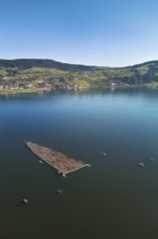 Forestry workers float a raft of felled tree trunks from the Bergmatt across the Ägerisee to the