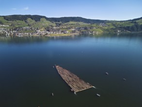 Forestry workers float a raft of felled tree trunks from the Bergmatt across the Ägerisee to the