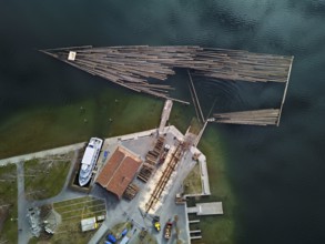 Raft of felled tree trunks at the landing stage where the trunks are pulled ashore and cut to size