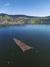 Forestry workers float a raft of felled tree trunks from the Bergmatt across the Ägerisee to the