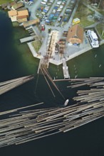 Raft of felled tree trunks at the landing stage where the trunks are pulled ashore and cut to size