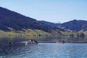 Forestry workers float a raft of felled tree trunks from the Bergmatt across the Ägerisee to the