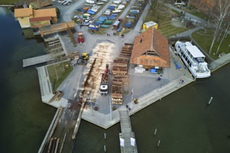 Raft of felled tree trunks at the landing stage where the trunks are pulled ashore and cut to size