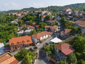 Picturesque village with characteristic red roofs, surrounded by green vegetation and small