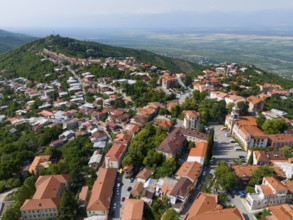 Aerial view of a hilly town with red roofs and green trees surrounded by a vast landscape, aerial