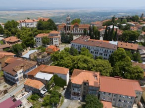 Panorama over a hilly town with many trees and traditional roofs, aerial view, Sighnaghi, Signagi,