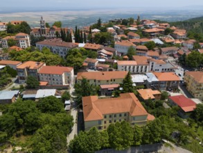 View of a hill town with traditional roofs and many trees in an extensive panorama, aerial view,
