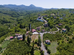 View of a village in the middle of a green hilly landscape with scattered houses, aerial view, view