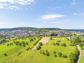 Wide green landscape with a village in the background, fields and trees under a clear, sunny sky,