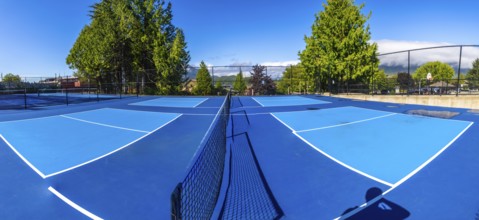 Four empty pickleball courts with blue surfaces and white lines are ready for players on a sunny