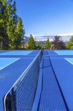 Empty pickleball court featuring a net casting shadows on the vibrant blue surface, basking in