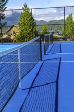 Sunlight illuminates a vibrant blue pickleball court, the net casting a distinct shadow, hinting at