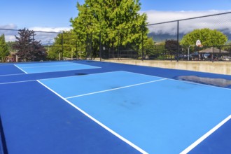 Two vibrant blue pickleball courts stand empty on a sunny day, white lines marking the boundaries