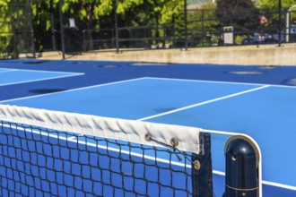 Pickleball net and an empty blue court await eager players on a bright sunny day, creating an