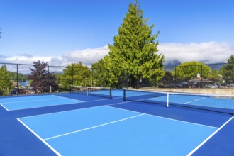 Vibrant blue pickleball courts basking in sunlight, inviting friendly matches on a beautiful summer