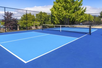 Pickleball court with net on a sunny day, showing a nearby playground in the background, offering a