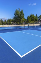 Empty outdoor pickleball courts feature a striking blue playing surface, white boundary lines, and