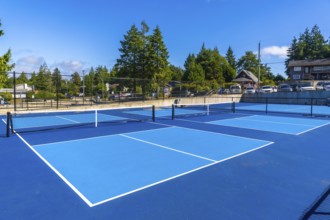 Four vibrant blue pickleball courts, featuring nets and white lines, sit empty under a clear blue