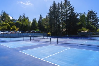 Sunlight streaming across empty pickleball courts on a clear summer day, inviting players to engage