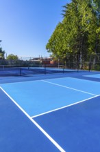 White lines marking vibrant blue pickleball courts create an inviting scene under a sunny sky,