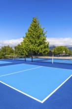 Two vibrant blue pickleball courts are bathed in sunlight on a beautiful day, complete with nets,