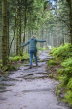 A hiker walks up a stony path surrounded by a green forest, Mummelsee, Seebach, Ortenau district,