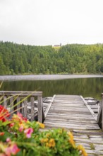 A wooden footbridge leads to a lake, colourful flowers in the foreground, Mummelsee, Seebach,
