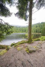 A lake surrounded by forests and mist offers a peaceful atmosphere, Mummelsee, Seebach, Ortenau