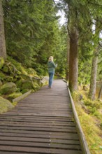 A person on a wooden path in the forest, surrounded by tall, green trees, Mummelsee, Seebach,
