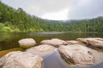 Rocks in the clear water of a lake, surrounded by dense forest and slightly cloudy sky, Mummelsee,