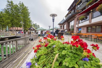 Bright flowers in the foreground of a terrace with people in a tourist area, Mummelsee, Seebach,