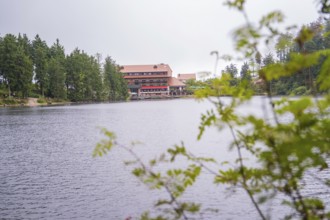 A building by the lake, slightly obscured by plants in the foreground, Mummelsee, Seebach, Ortenau