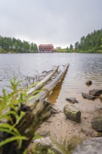 Tree trunks protruding into a lake, with a building in the background, Mummelsee, Seebach, Ortenau