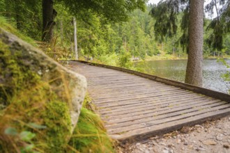 A wooden path leads through the forest along a lakeshore, Mummelsee, Seebach, Ortenau district,