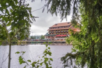 Wooden building by the water, surrounded by green forest, Mummelsee, Seebach, Ortenau district,
