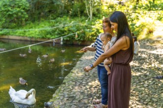 Grandmother, mother and granddaughter spending time together outdoors, feeding ducks and swans in a