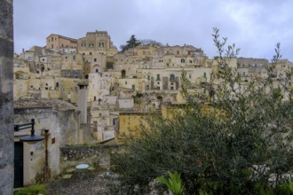 Cave settlement, cave dwellings, houses, Sassi, Matera, Unesco World Heritage Site, Basilicata,