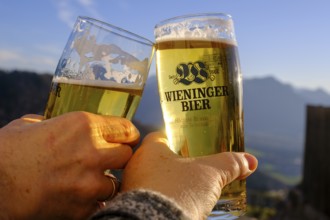 Beer at the Dandlbergalm, Roßholzen, Samerberg, Inntal, Upper Bavaria, Bavaria, Germany