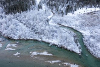 Upper Isar, at the Sylvenstein reservoir, Winter in the Isar valley, Upper Bavaria, Bavaria,