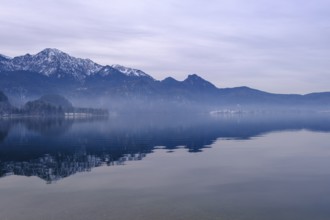 At Lake Walchensee, south shore near Einsiedl, Upper Bavaria, Bavaria, Germany