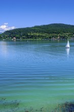 On Lake Lake Wörth, south shore, near Sekirn, Carinthia, Austria