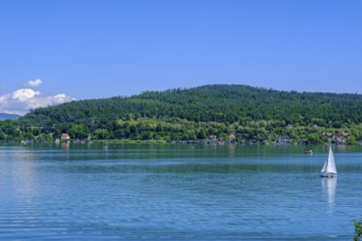 On Lake Lake Wörth, south shore, near Sekirn, Carinthia, Austria