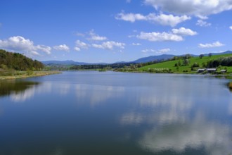 Drachensee, Furth im Wald, Bavarian Forest, Upper Palatinate, Bavaria, Germany
