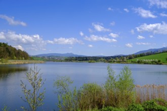 Drachensee, Furth im Wald, Bavarian Forest, Upper Palatinate, Bavaria, Germany